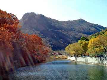 澳门二四六天天彩图库，新朗逸论坛